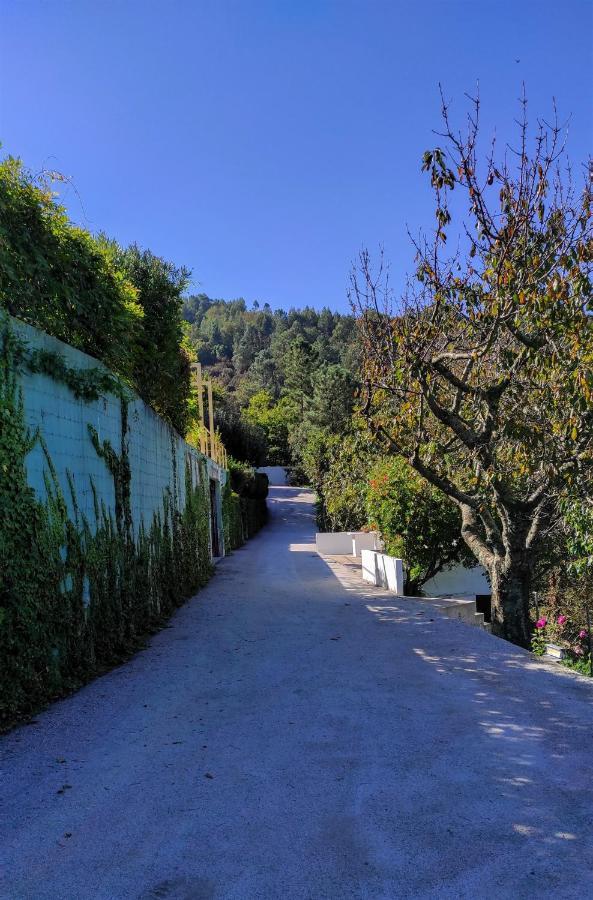Pera Da Serra - Turismo No Espaco Rural Lousa  Exterior photo